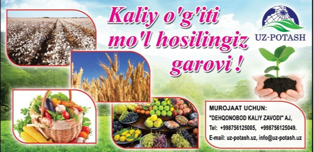 card-img